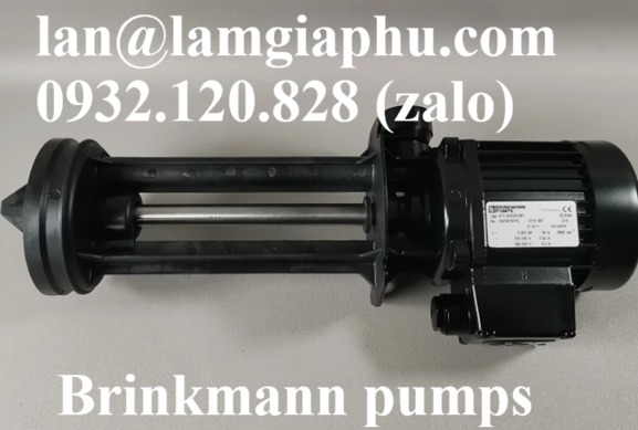 Brinkmann Pumps