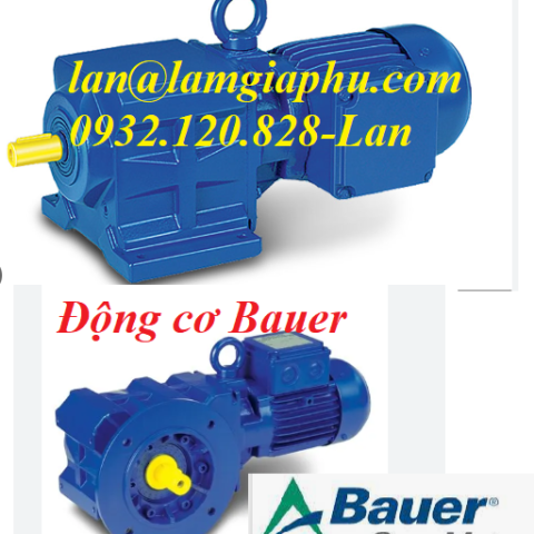 đông cơ bauer gear motor