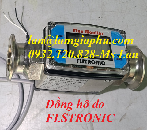 FLSTRONIC F2S10SCGLLDB.2