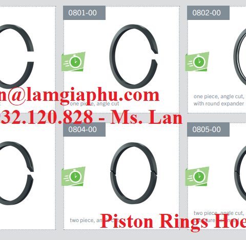 Piston Hoerbiger