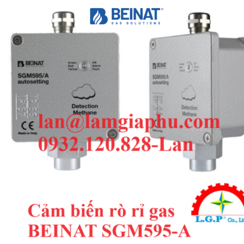 cảm biến rò rỉ gas beinat