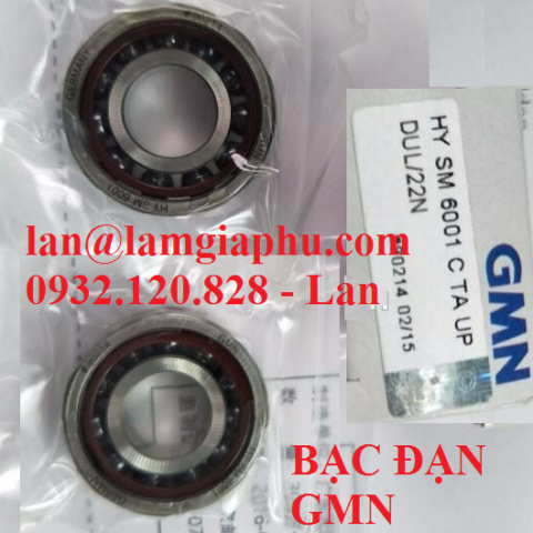 vòng bi gmn