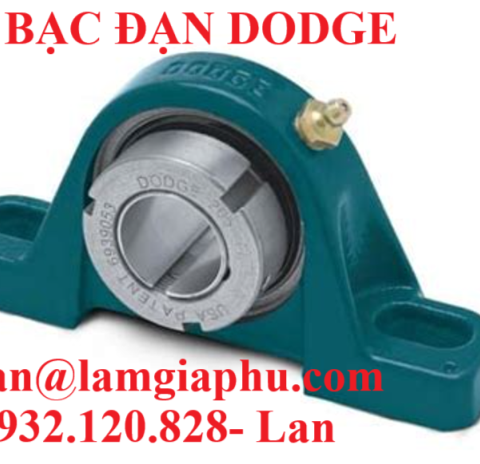 bạc dạc dodge