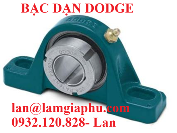 bạc dạc dodge