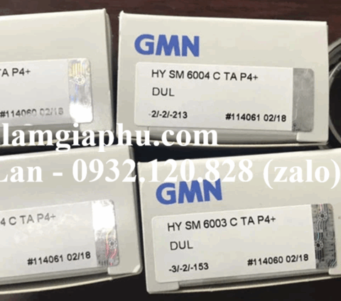 Vòng bi GMN HY S 6007 C TXM P4+ DUL