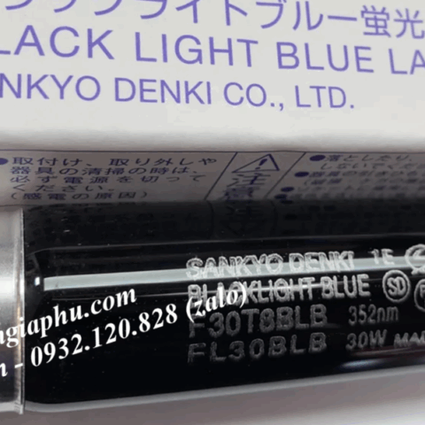 Sankyo Denki F30T8BLB